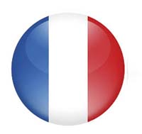 Bandera FRANCES A253