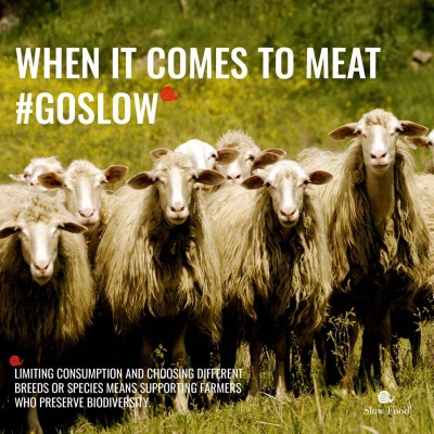 MEAT THE CHANGE BY SLOW FOOD Imagen 1